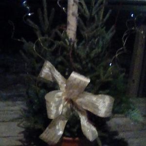 Meet your Posher, Becky